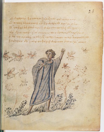 Hombre escapando de las abejas, ilustración de Theriaca de Nicandro de Colofón de Byzantine